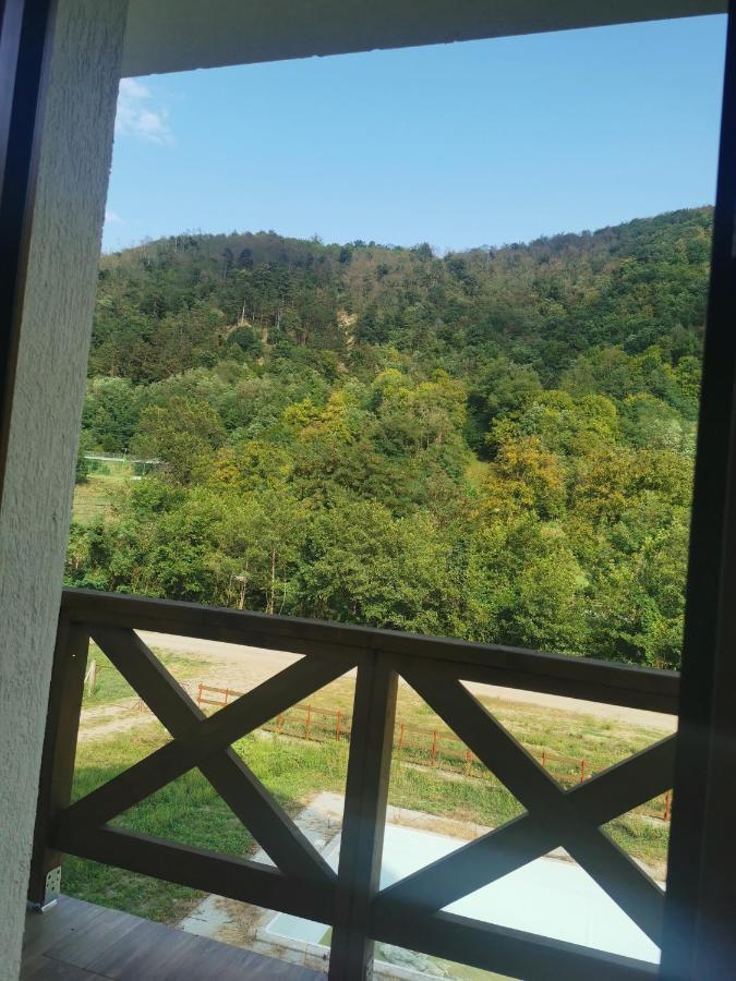 Pensiunea La Nenea Iancu Pianu de Sus Εξωτερικό φωτογραφία